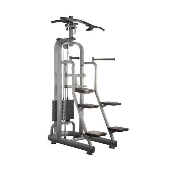 Technogym Element Assisted Chin Dip